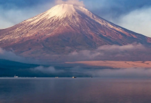 日本东京 VPS云服务器，原生IP，住宅IP大陆直连tiktok直播无忧-虾皮主机测评网