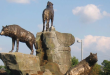 美国北卡罗莱纳州云服务器已正式上线售卖，实时开通原生IP 轻松解锁Tiktok，跨境电商，质优价廉支持月付-虾皮主机测评网