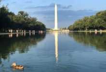 2024年便宜且好用的美国加州洛杉矶VPS云服务，实时开通，原生IP/住宅IP，大陆直连，轻松解锁Tiktok，支持Windows，支持月付看过来！！-虾皮主机测评网