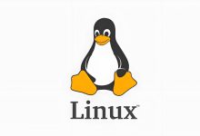 最新Linux VPS入门指南,新手小白如何使用Linux VPS?-虾皮主机测评网